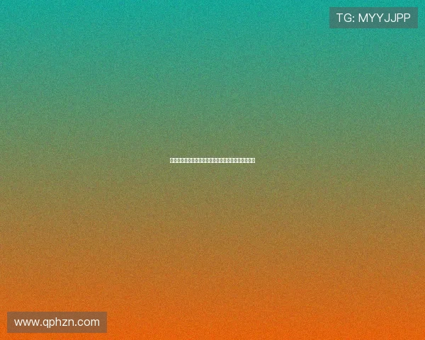 四仔旅行团:不止是旅行,更是一场与世界的温情相遇